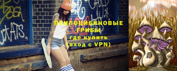apvp Армянск